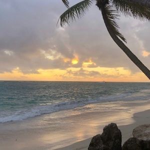 Meet your Posher, Alina